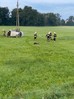 Verkehrsunfall Aufräumarbeiten