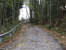 Sturmschäden