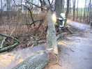 15 Stunden im Einsatz nach Orkan Kyrill