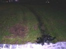 Erneut Aufräumarbeiten nach Verkehrsunfall