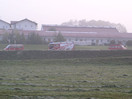 Umgestürzter Tiertransporter und Suchaktion