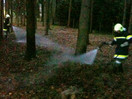 Flurbrand im Kreuzhuberholz