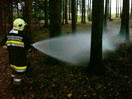 Flurbrand im Kreuzhuberholz