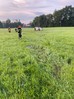 Verkehrsunfall Aufräumarbeiten