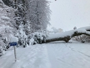 Schneechaos 