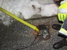 Überflutungen durch Regen und Schneeschmelze