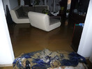 Zahlreiche Einsätze nach starkem Unwetter über dem Innviertel