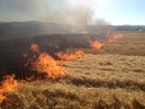 Getreidefeldbrand in Oberham / Untereselbach