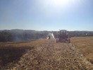 Getreidefeldbrand in Oberham / Untereselbach