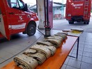 Fahrzeug-Inventur