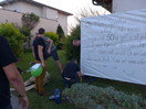 Alles Gute zum 50er