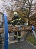Übung mit Holzverspannungssimulator