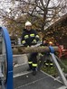 Übung mit Holzverspannungssimulator
