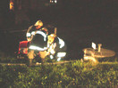Pflichtbereichsübung in Breiningsham